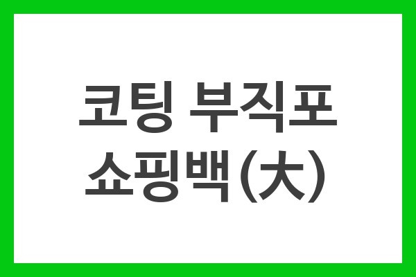 코팅 부직포 쇼핑백(大)