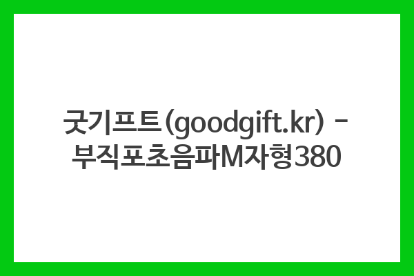 굿기프트(goodgift.kr) – 부직포초음파M자형380
