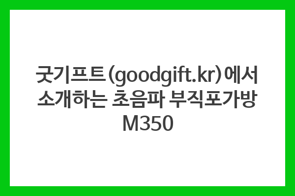 굿기프트(goodgift.kr)에서 소개하는 초음파 부직포가방 M350