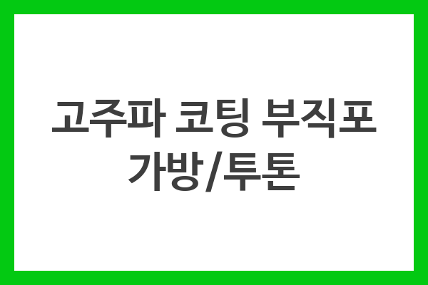 고주파 코팅 부직포 가방/투톤