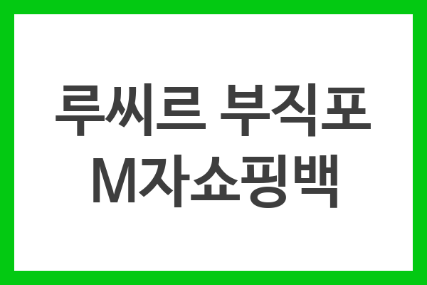 루씨르 부직포 M자쇼핑백 루씨르 부직포 M자쇼핑백