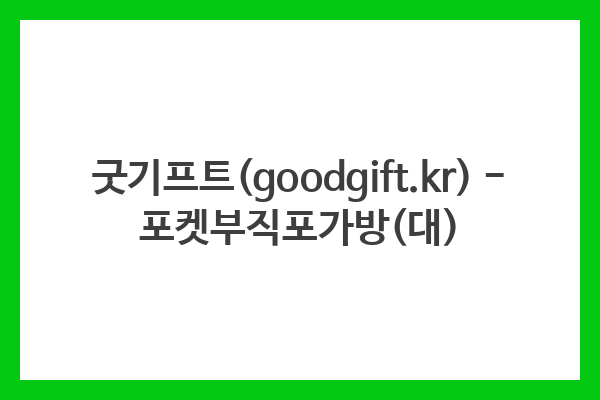 굿기프트(goodgift.kr) – 포켓부직포가방(대)