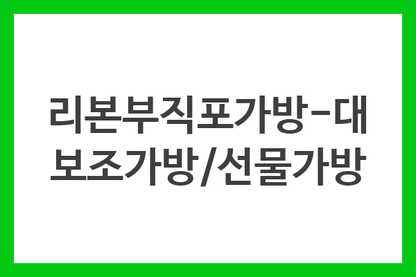 리본부직포가방-대 보조가방/선물가방