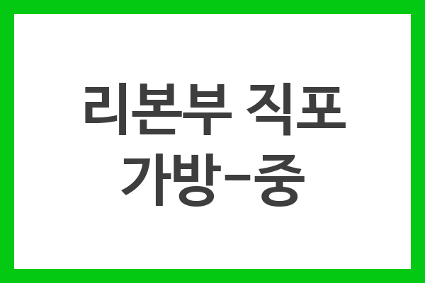 리본부 직포 가방-중