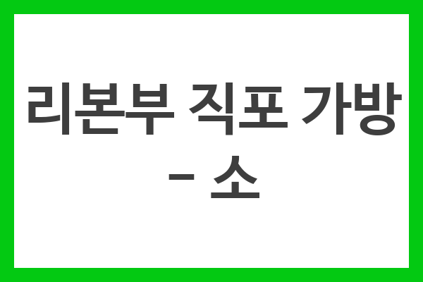 리본부 직포 가방 – 소