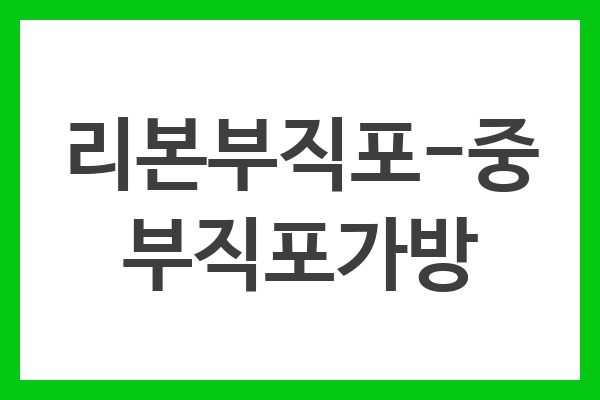 리본부직포-중 부직포가방