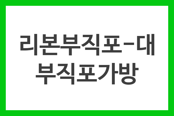 리본부직포-대 부직포가방