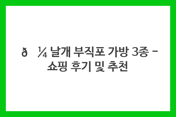 💼 날개 부직포 가방 3종 – 쇼핑 후기 및 추천