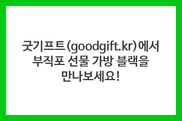 굿기프트(goodgift.kr)에서 부직포 선물 가방 블랙을 만나보세요! 굿기프트(goodgift.kr)에서 부직포 선물 가방 블랙을 만나보세요!