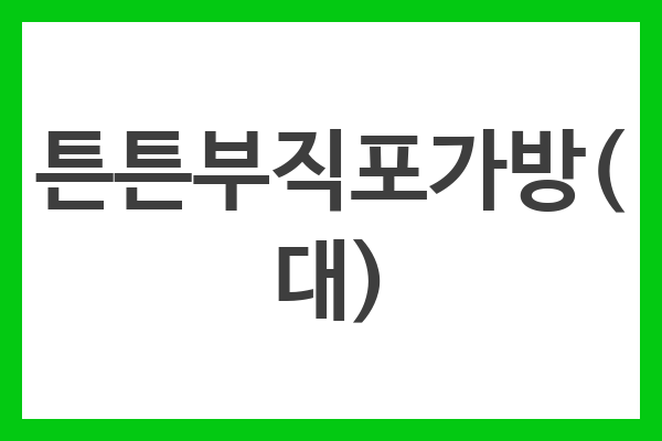 튼튼부직포가방(대)