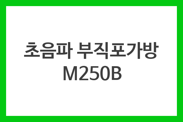초음파 부직포가방 M250B