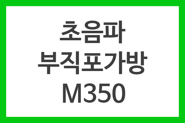 초음파 부직포가방 M350 초음파 부직포가방 M350